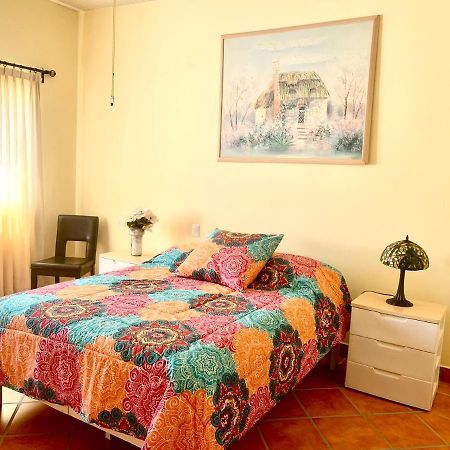 Casa Fraile San Miguel Daire San Miguel de Allende Dış mekan fotoğraf